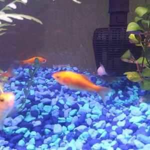 Meet your Posher, Sandi